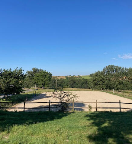 Carrière de dressage